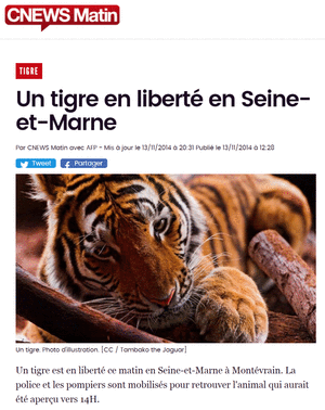 Titre de Cnews